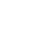 US Motors